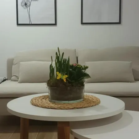 Neron Apartman *